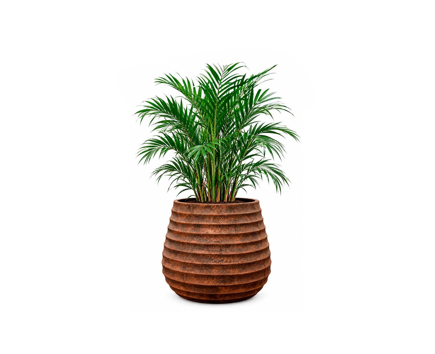 Bau Planter