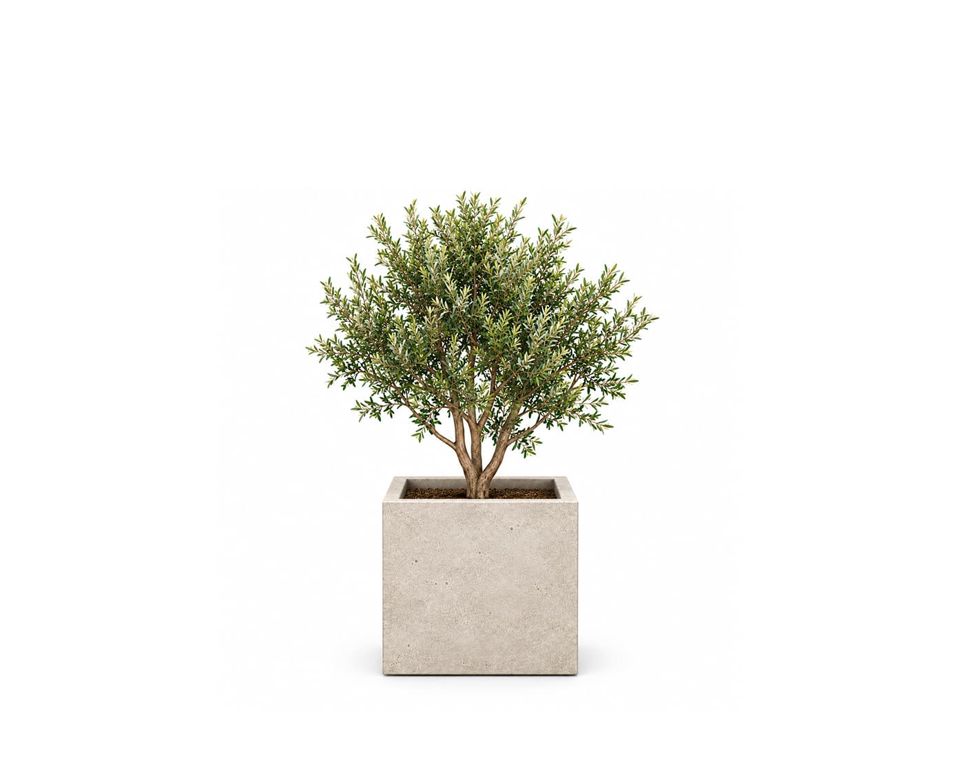 Cubo Planter