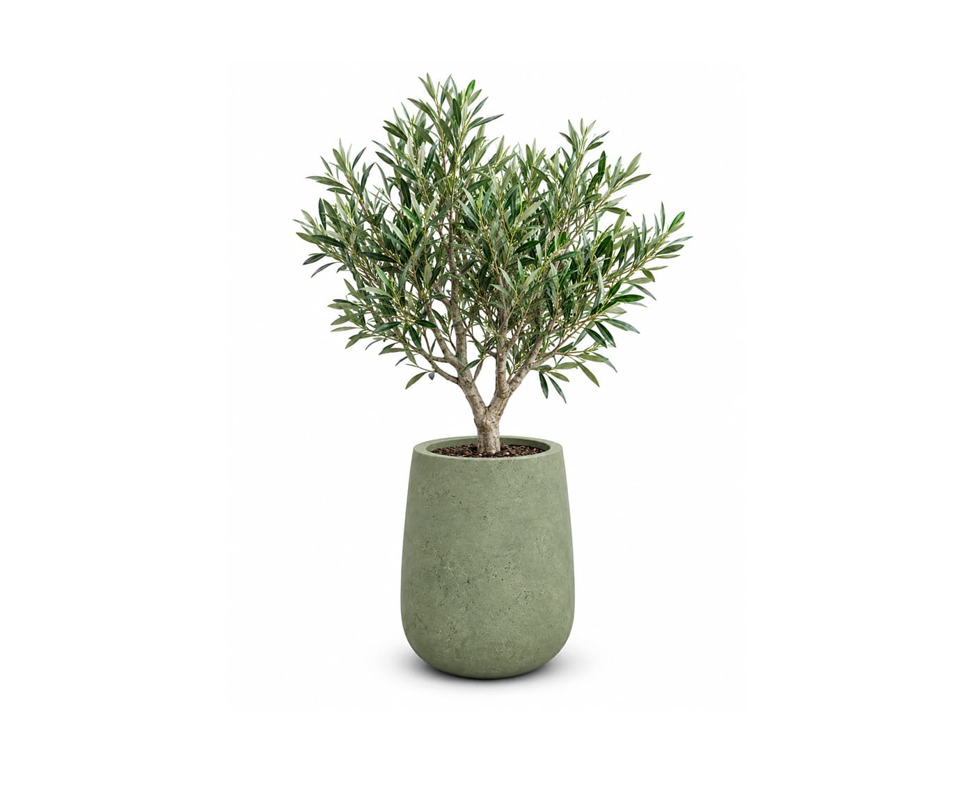 Flora Planter
