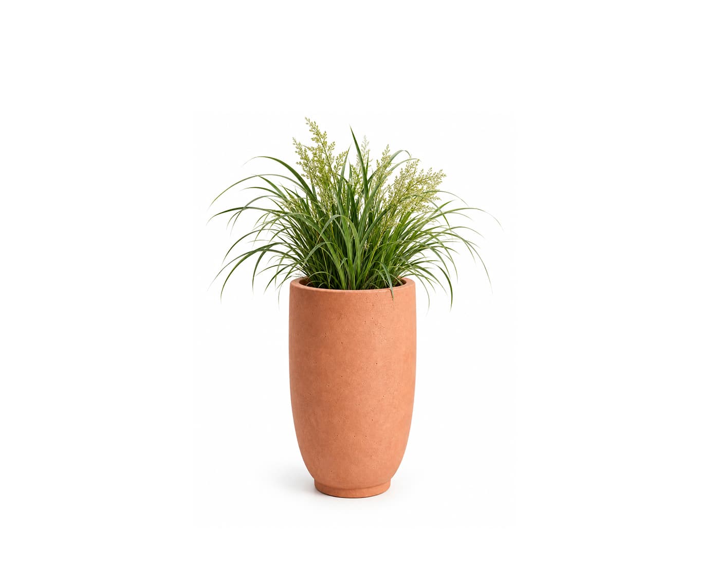 Massa Planter