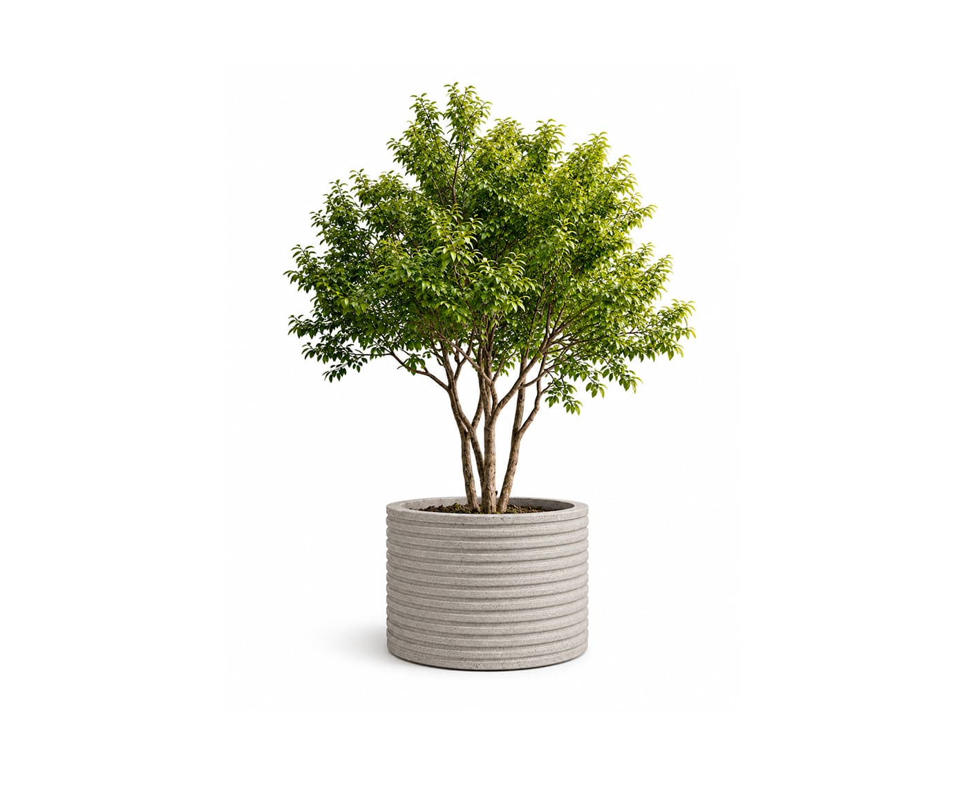 Nova Planter