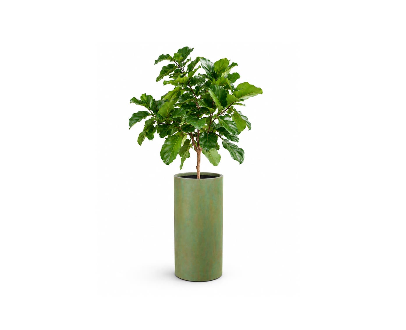 Orbita Planter
