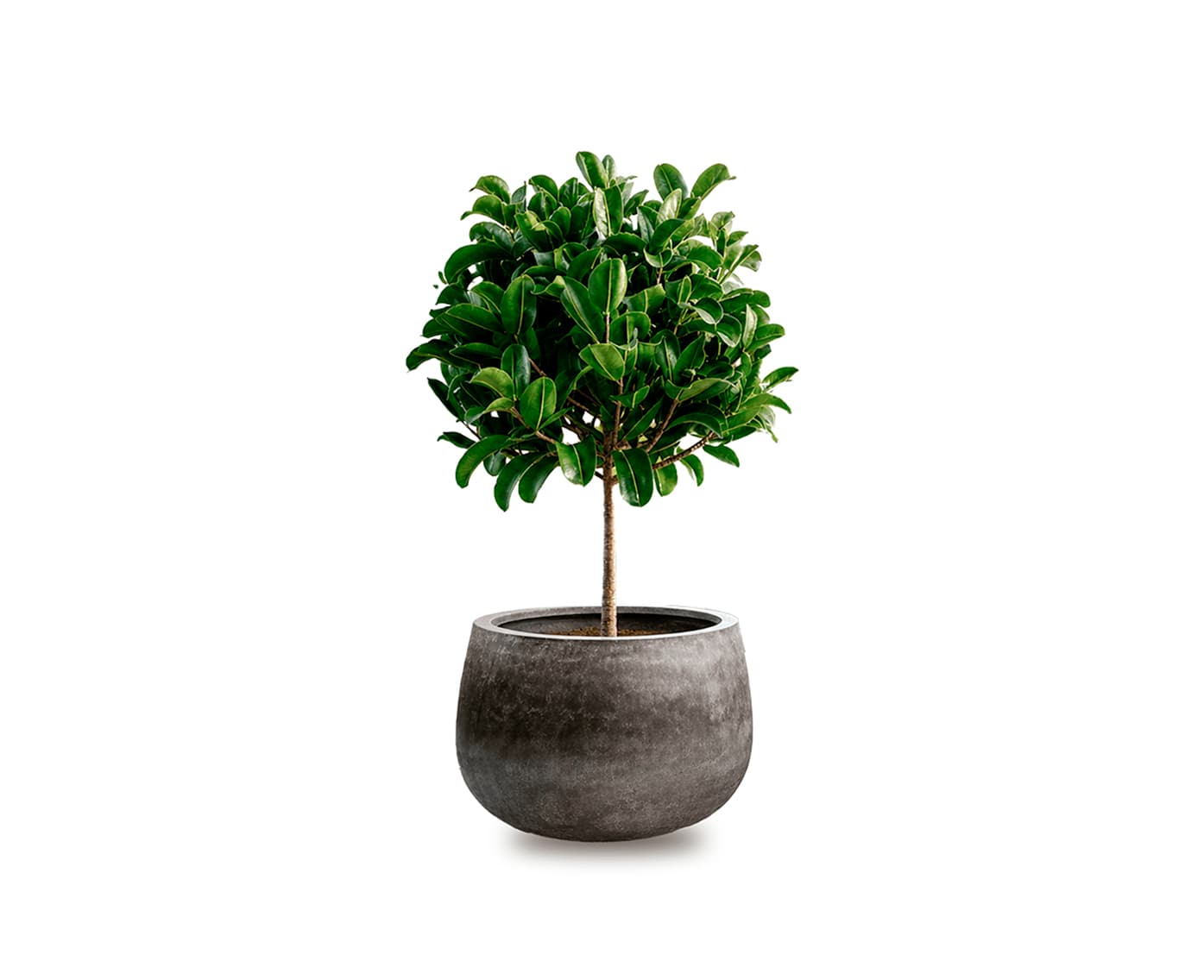 Sfera Short Planter