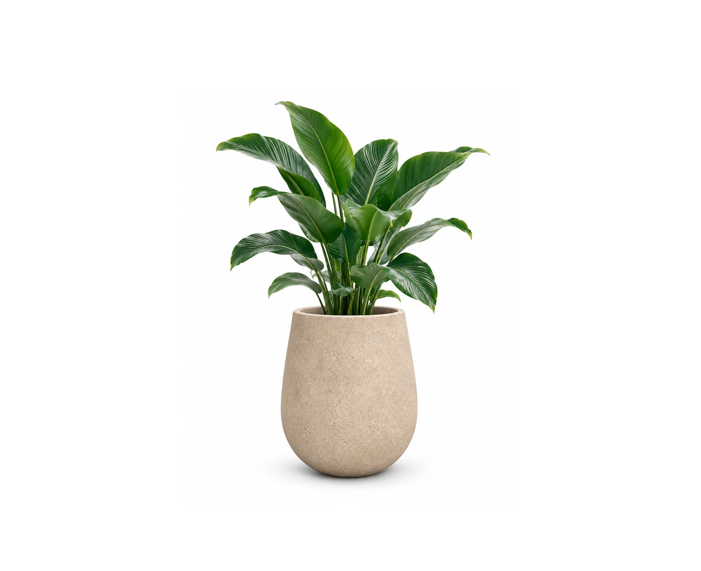 Terra Planter