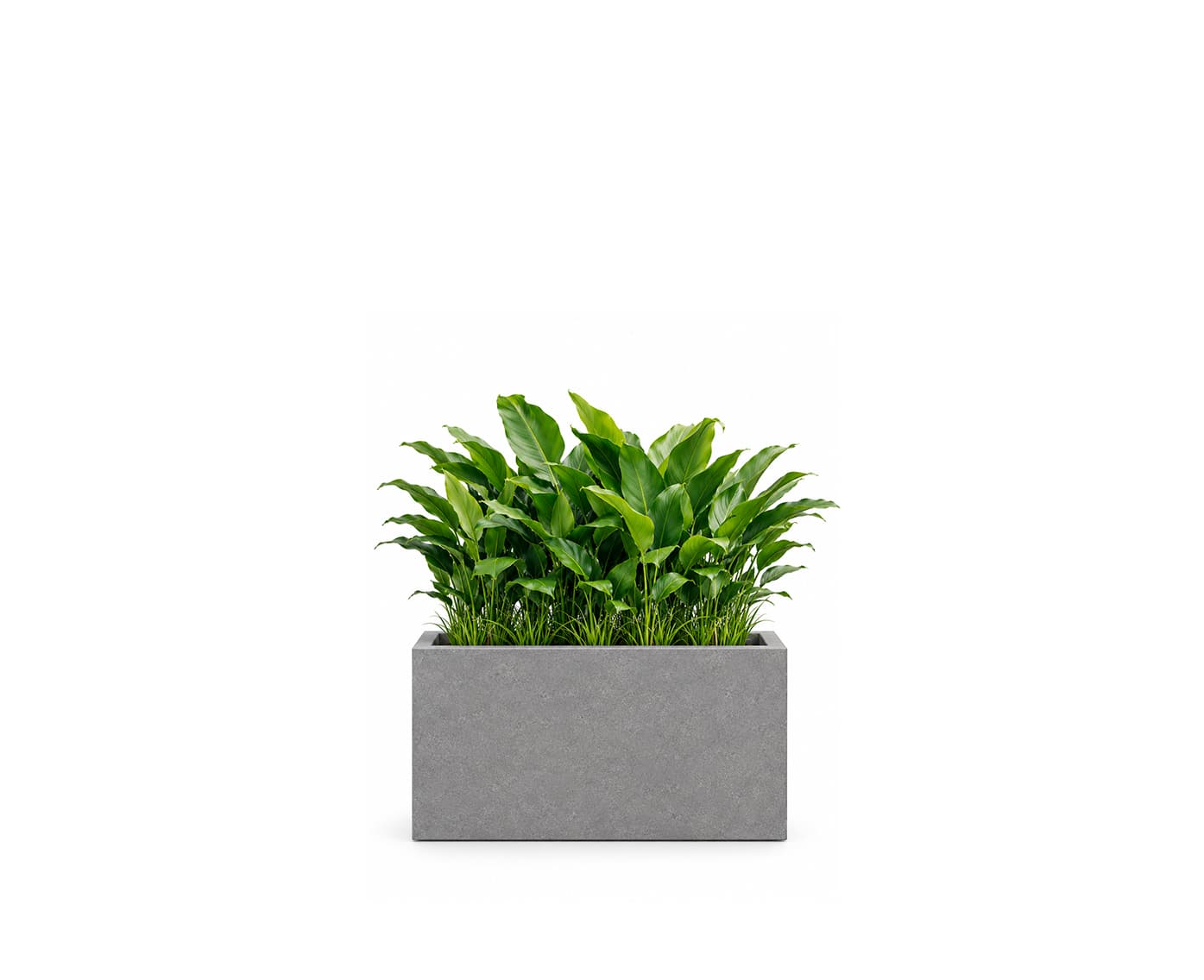 Vertex Rectangular Tall Planter