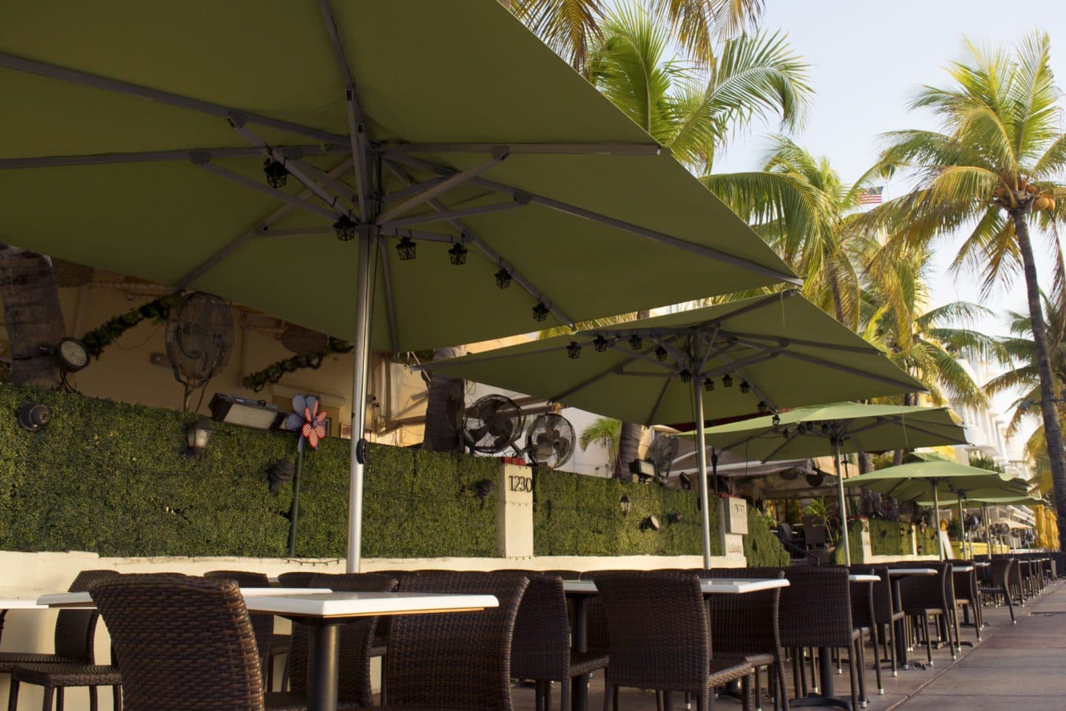 Restaurant Umbrellas