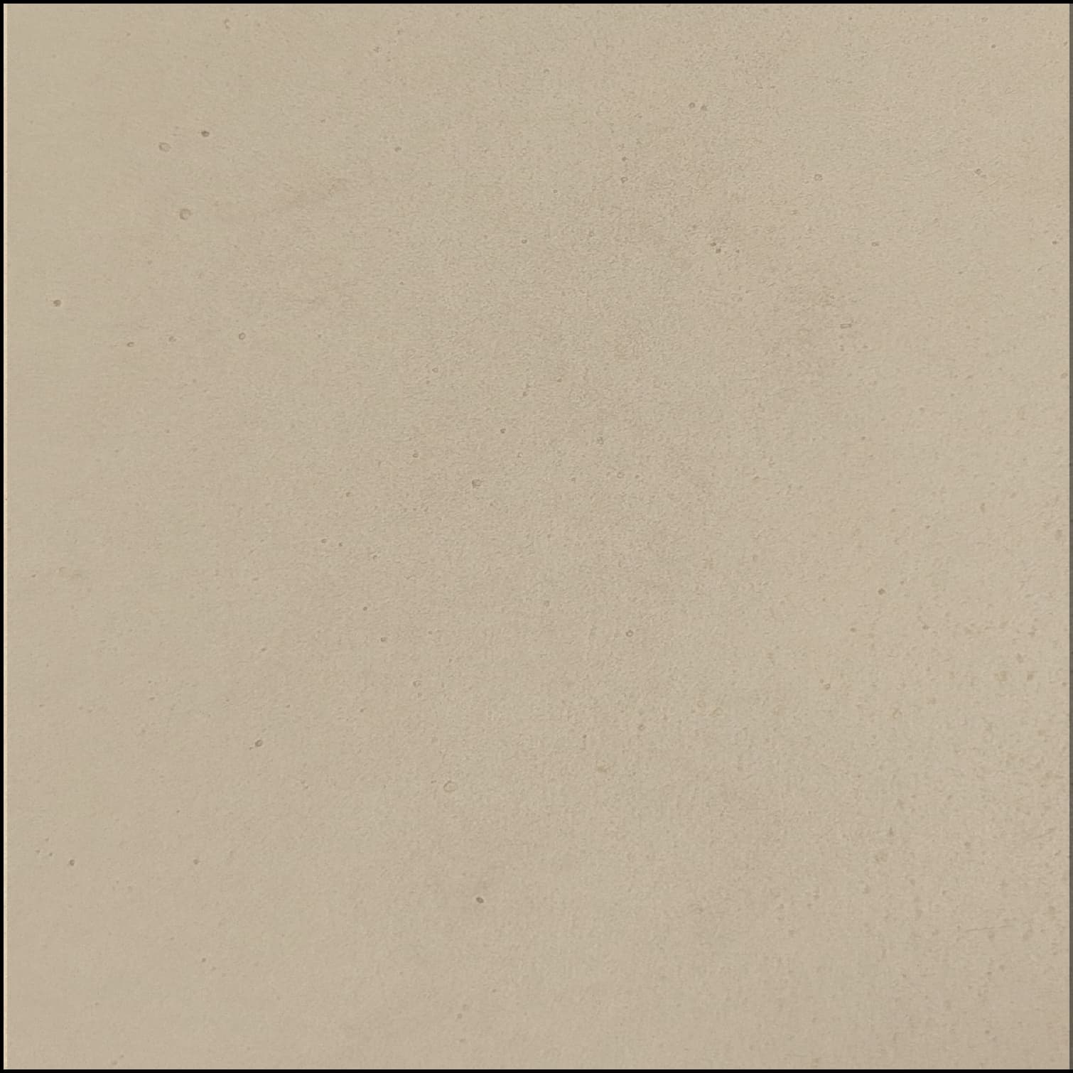 Beige Concrete Finish