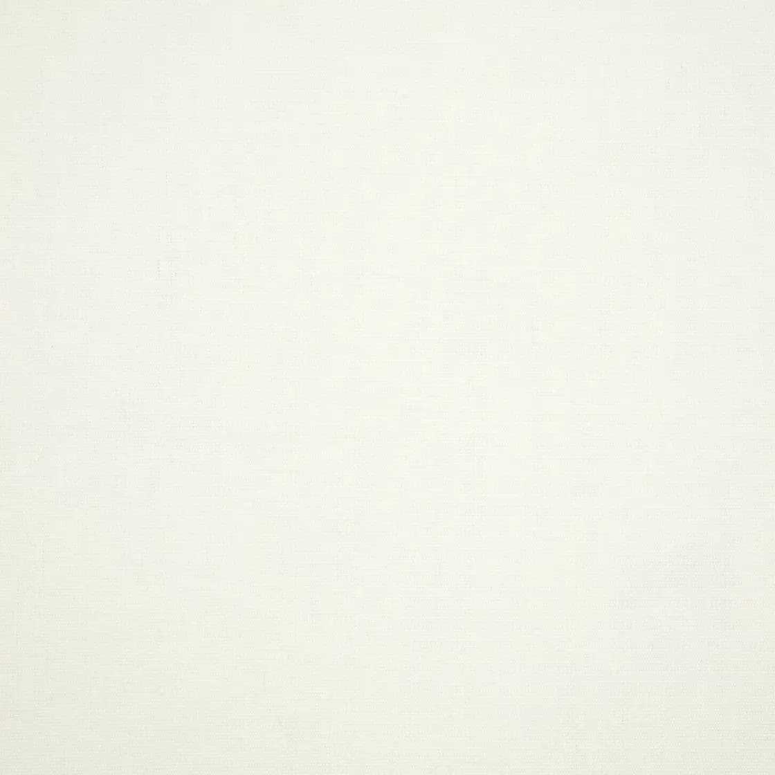 Canvas White