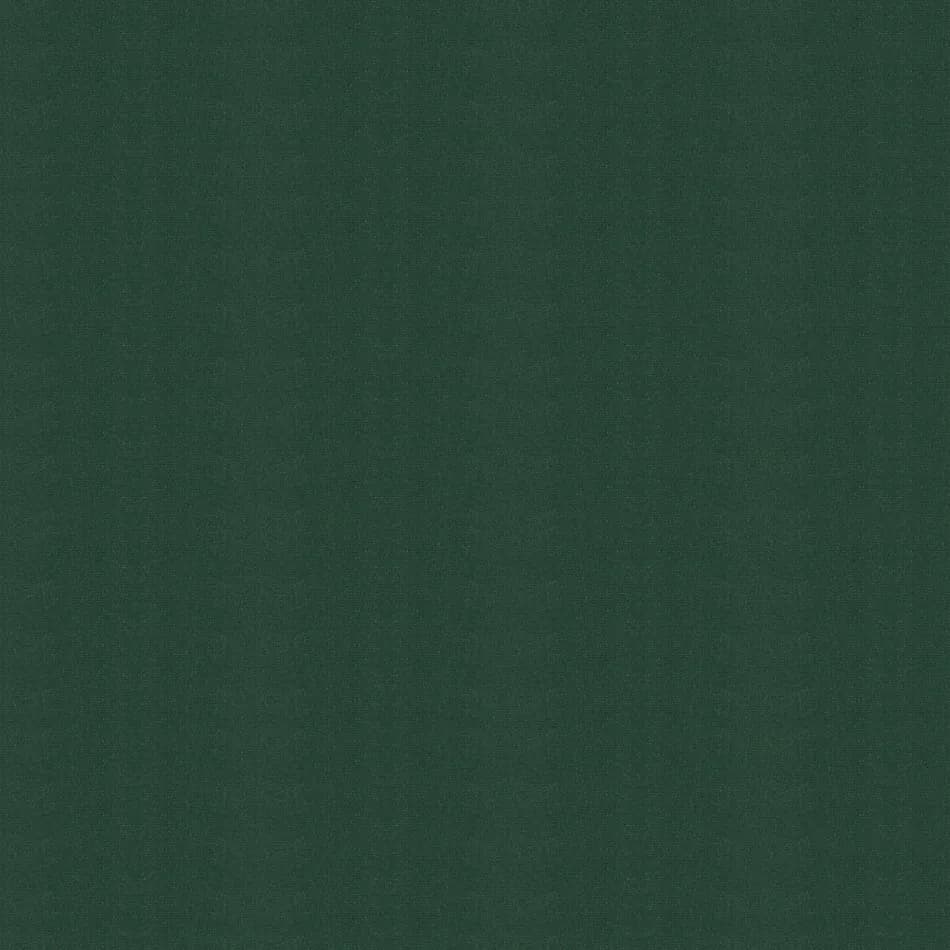 Chive