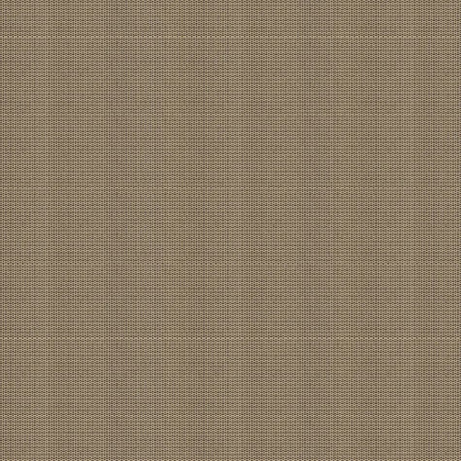 Coriander