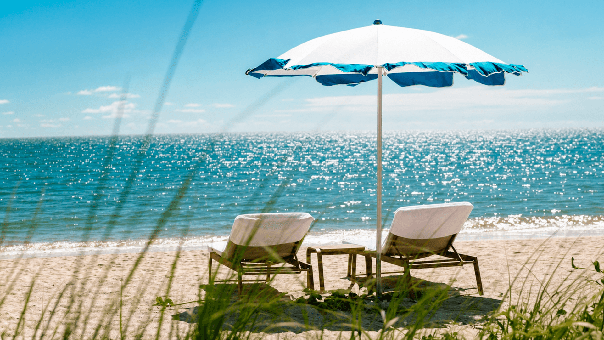 Everything that Transforms a Moment Into an Experience.