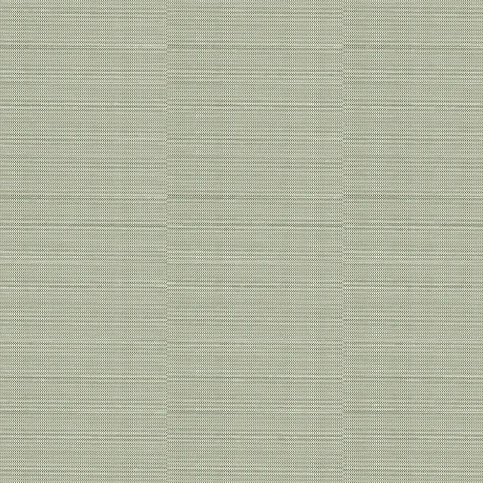 Lettuce Tweed
