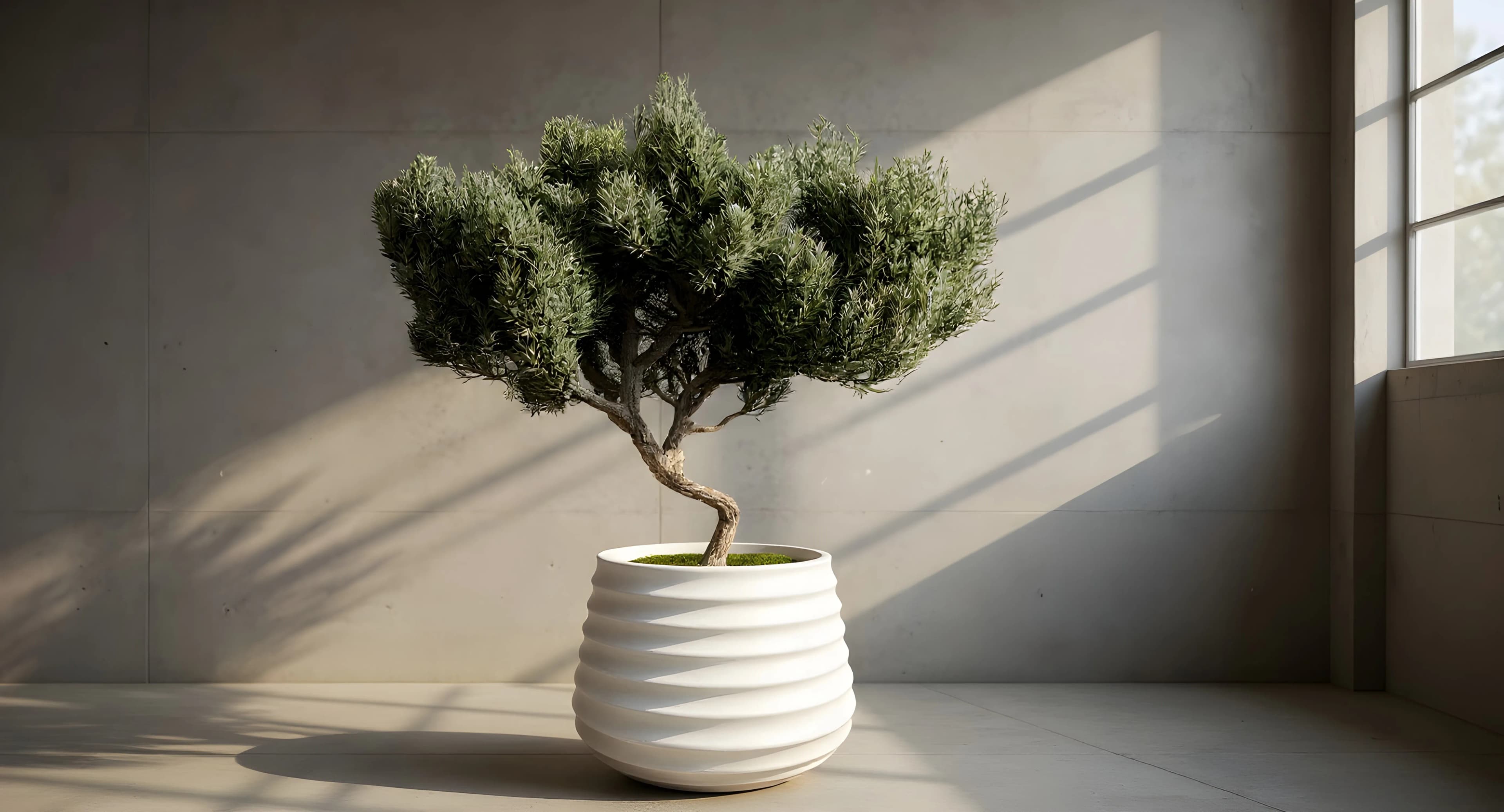 Bau Planter 5