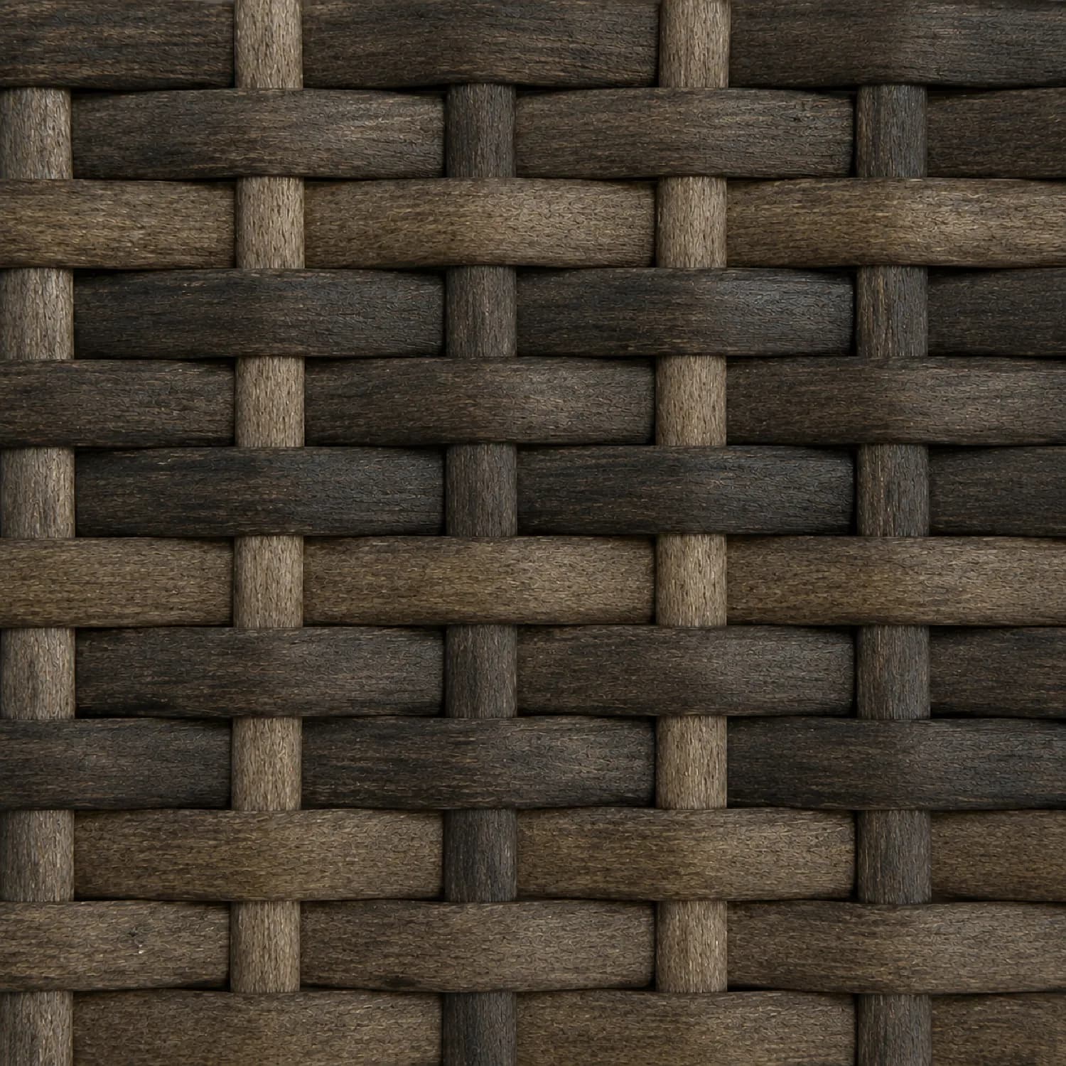 Olive Ash