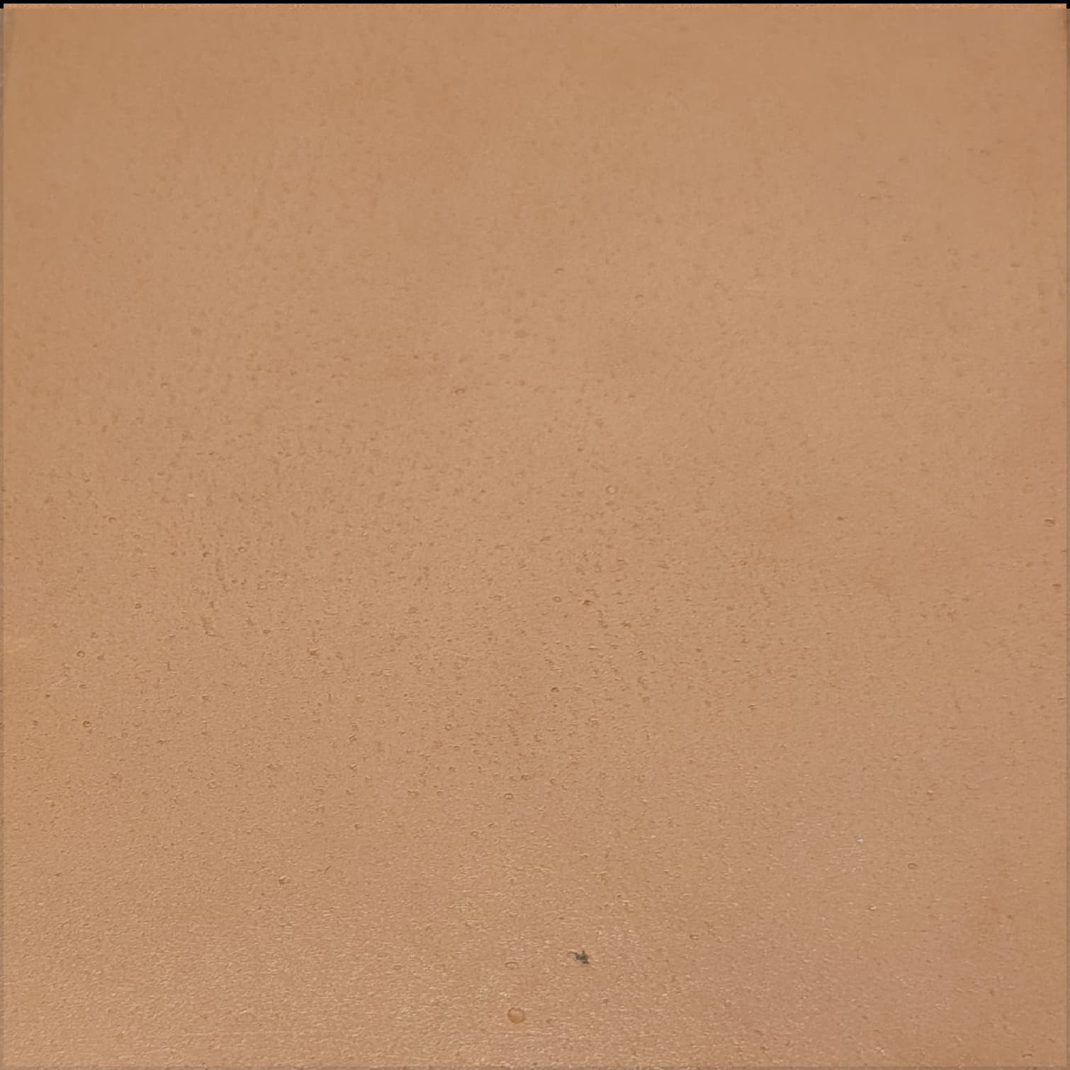 Terracotta Concrete Finish