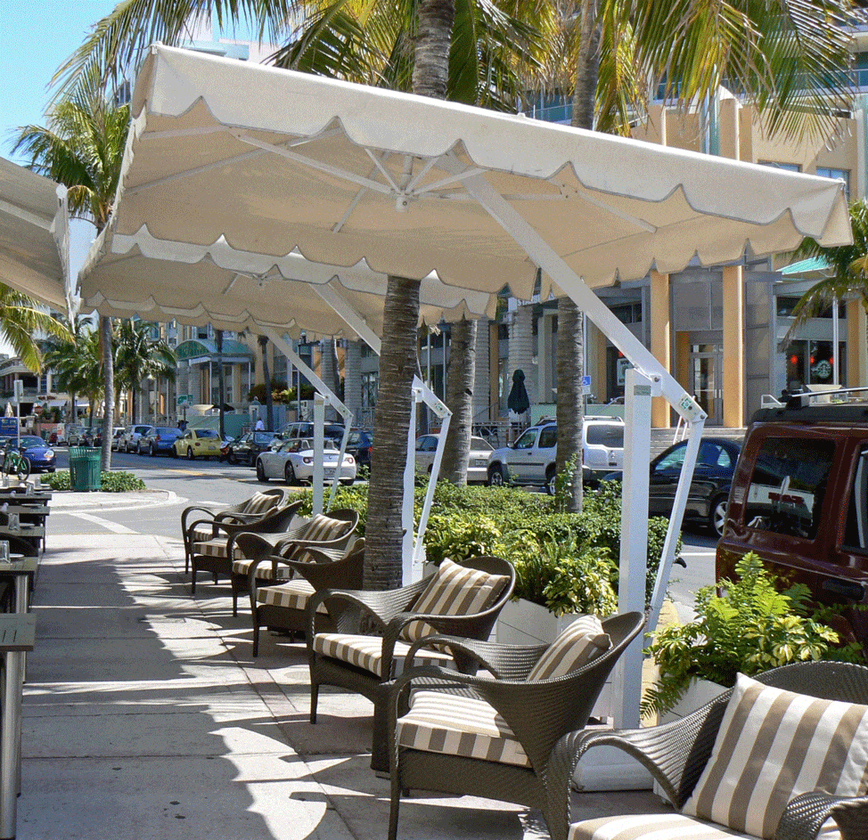 Market Umbrellas