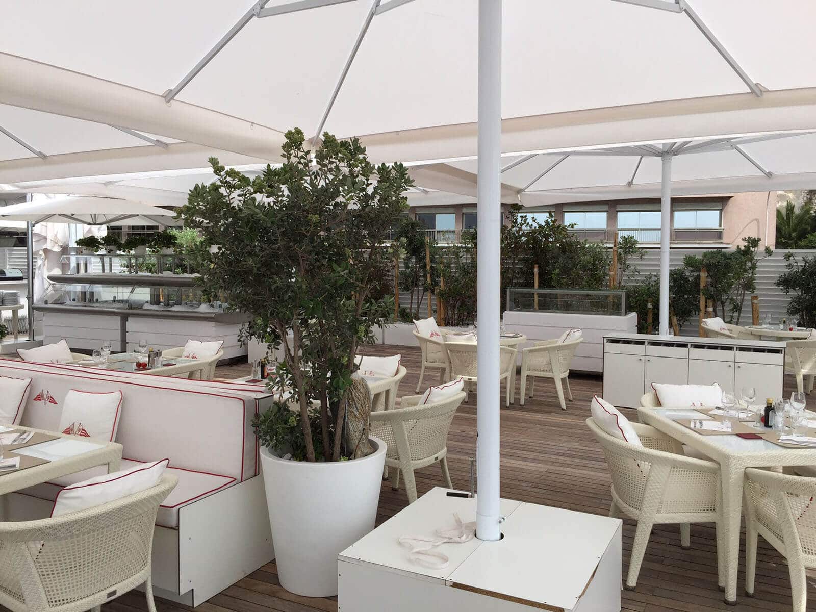Cruise Line & Cruise Ship Outdoor Umbrellas