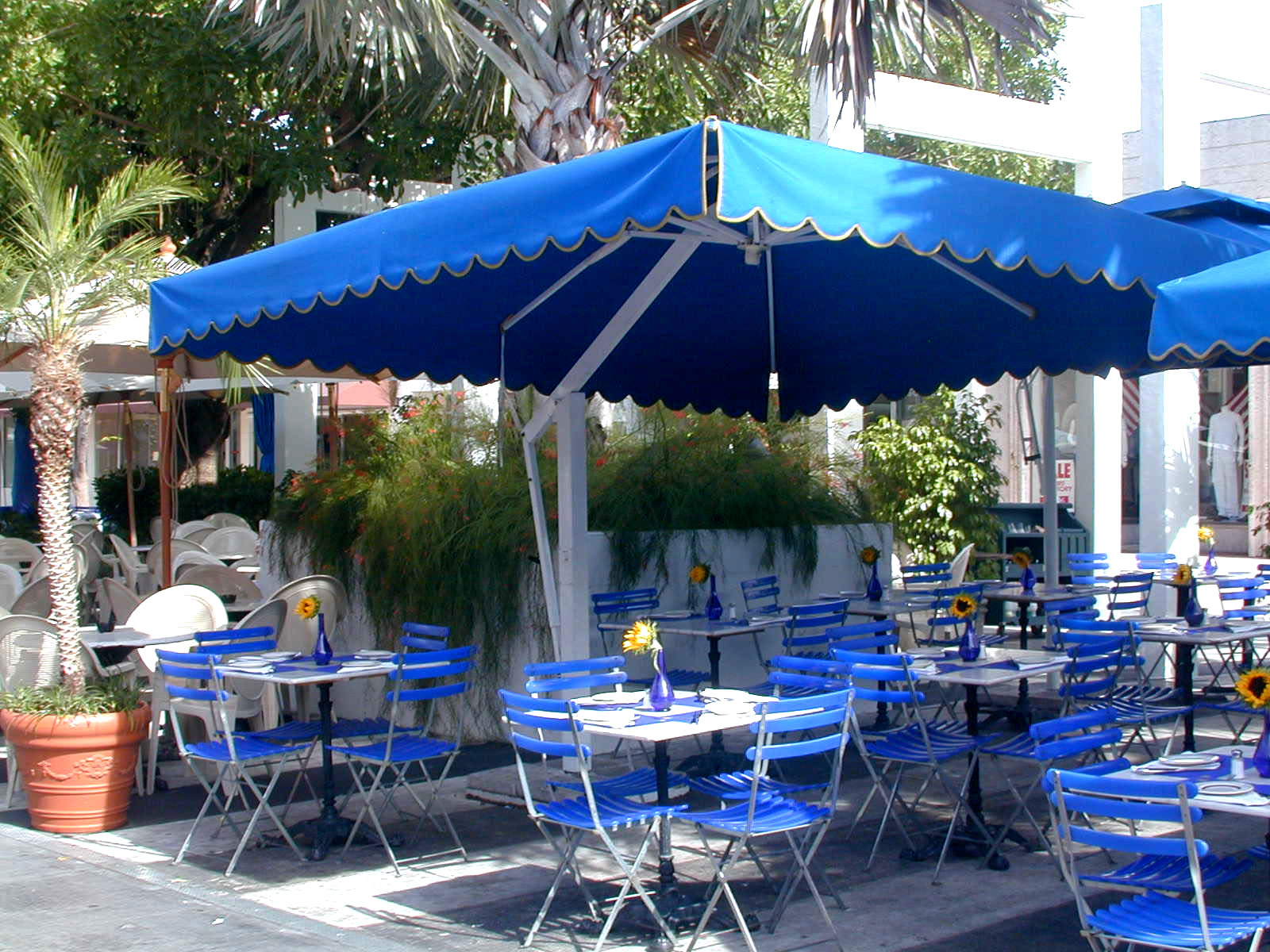 blue square outdoor patio umbrellas