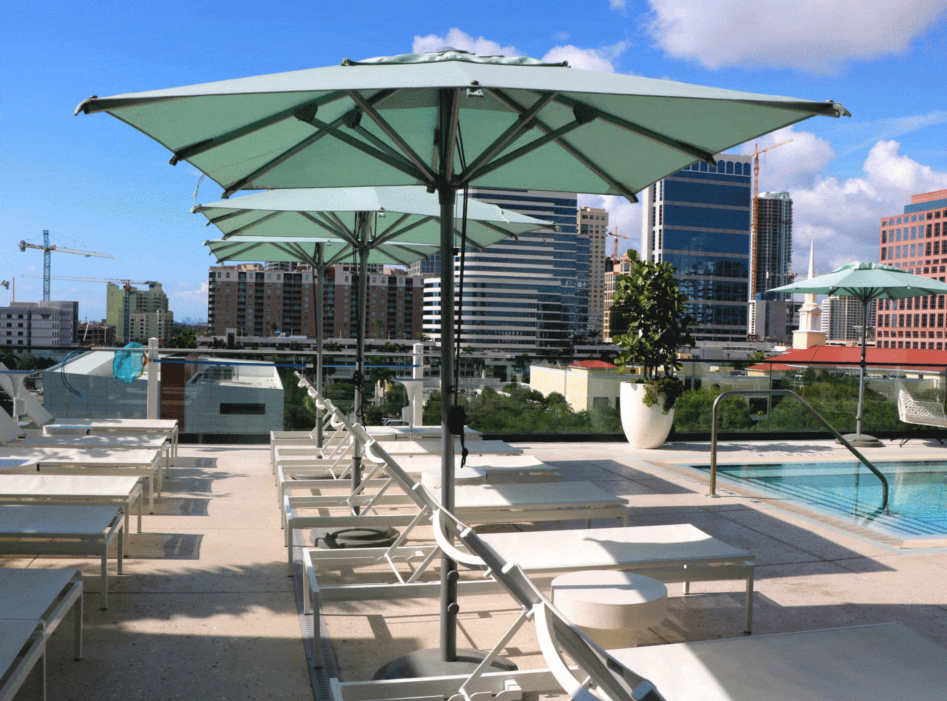 Hotel Umbrellas