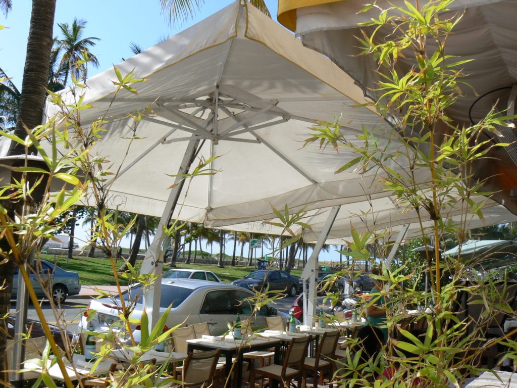 Modern umbrellas for restaurants and cafes, KNG contrast binding Fox Cafe1.jpg 1