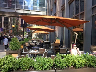 Restaurant patio umbrella color